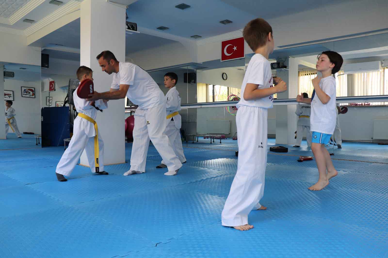 Taekwondo 2